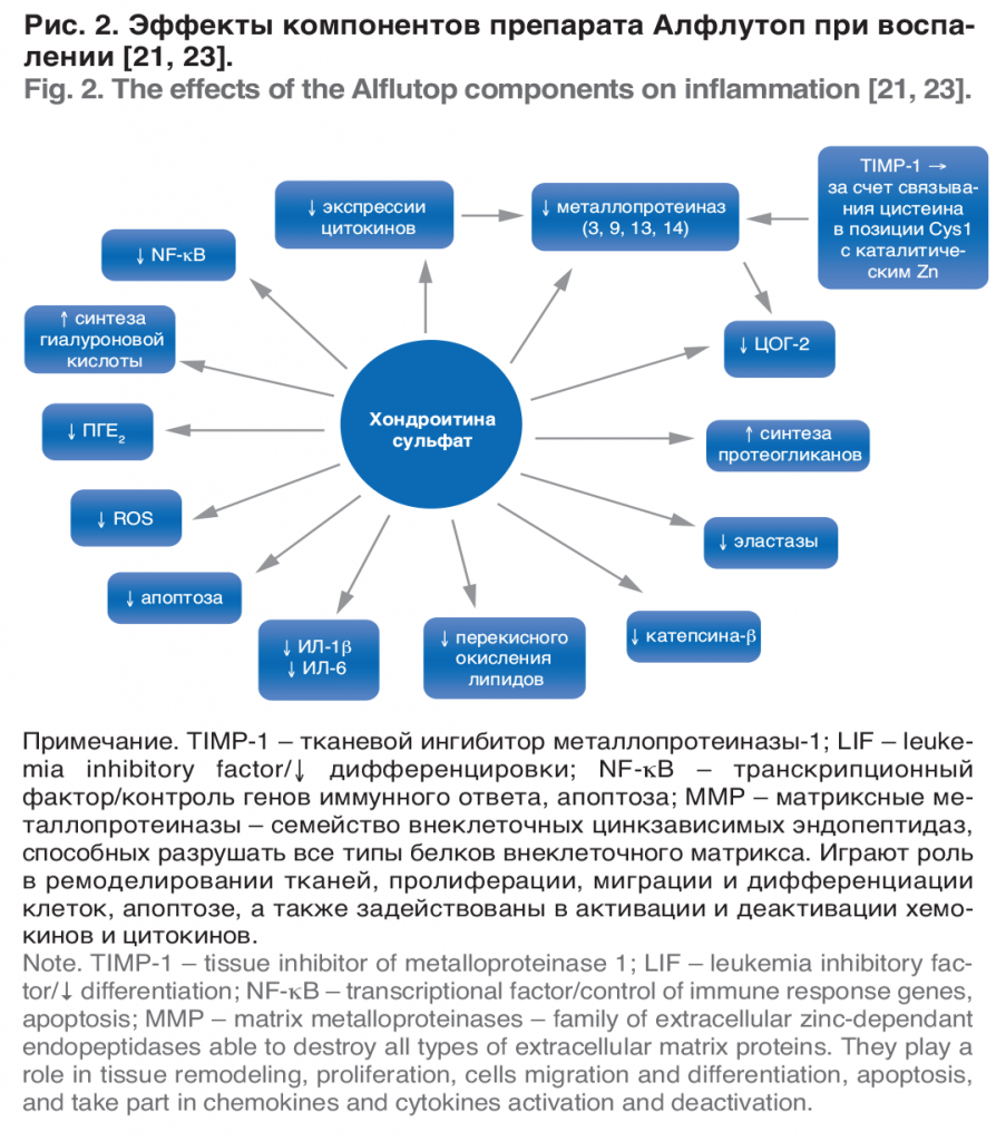 alflutop[18]-4.1.png